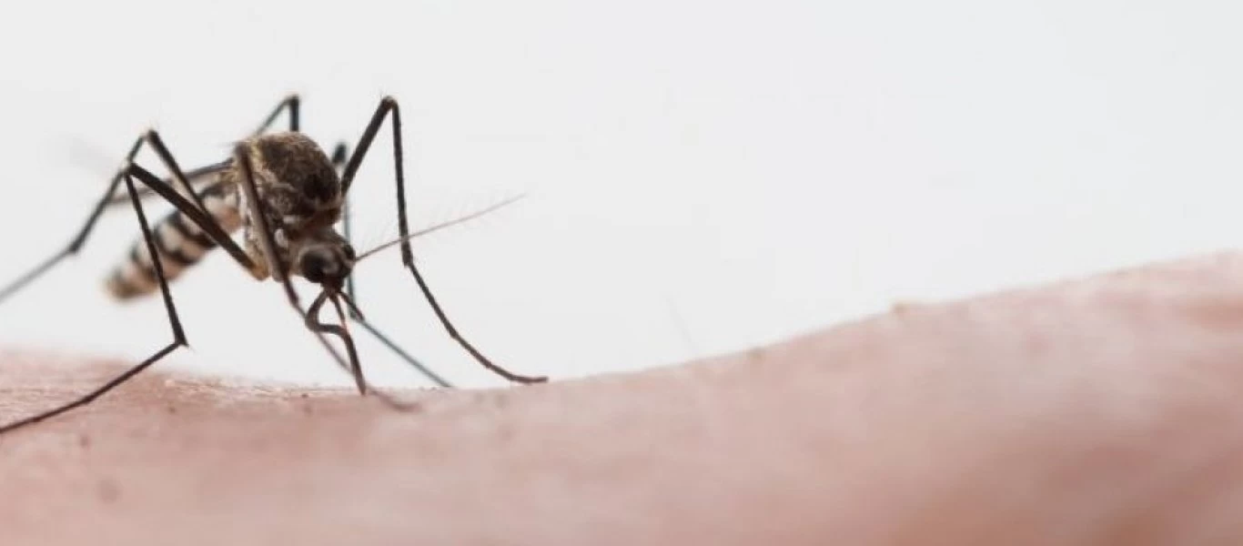 Επιστήμονες ανακάλυψαν ότι ουσία των εντομοαπωθητικών μπορεί να «σκοτώσει» το στέλεχος του κορωνοϊού